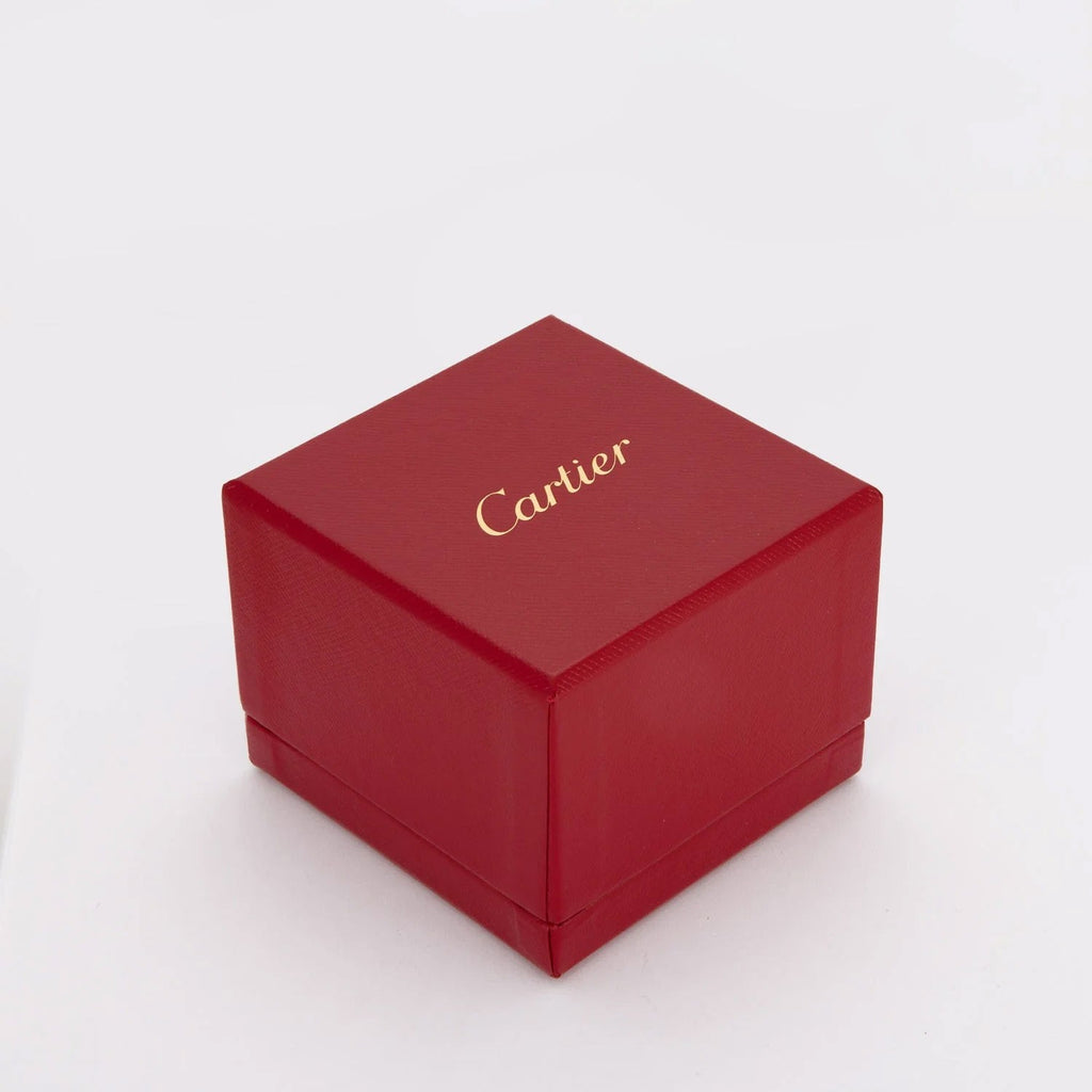 GOURMETTE CARTIER AMULETTE BLANC NACRE